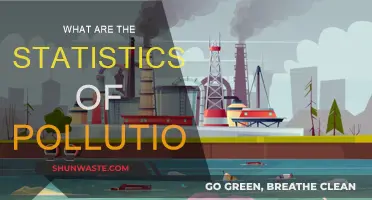Pollution Statistics: A Global Crisis Overview