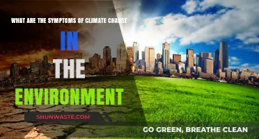 Environmental Symptoms of Climate Change: Recognizing the Warning Signs