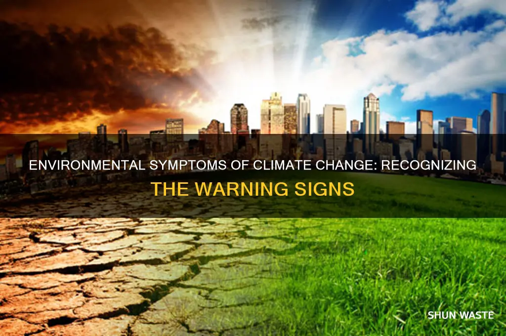 what are the symptoms of climate change in the environment