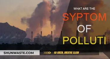 Pollution's Impact: Signs and Symptoms to Watch For