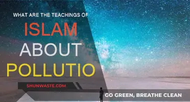 Islam's Pollution Teachings: Protecting the Environment