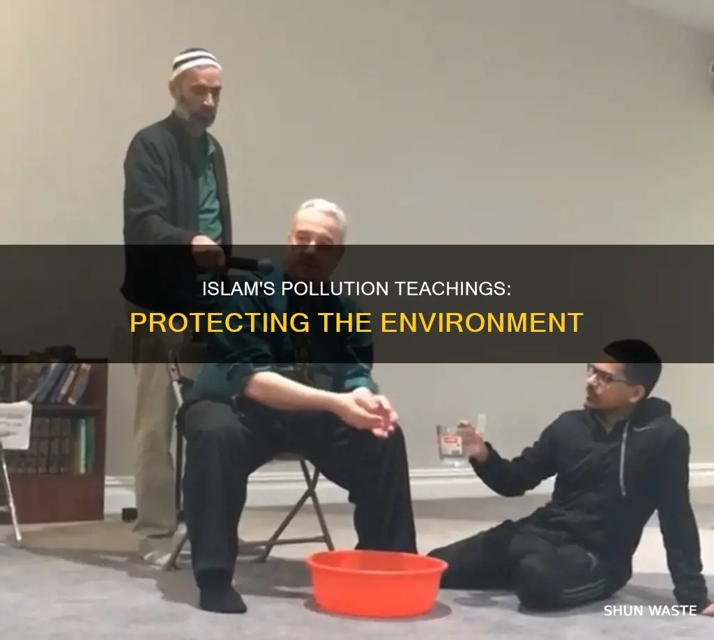 what are the teachings of islam about pollution