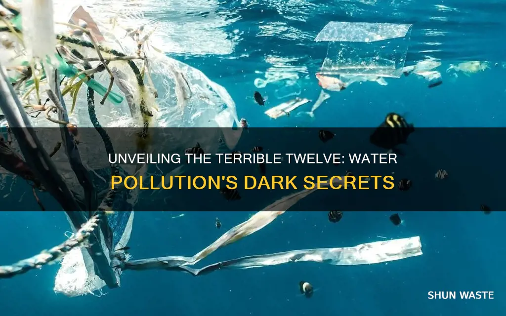 what are the terrible twelve water pollution