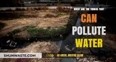 Unveiling Water's Hidden Enemies: Understanding Water Pollution