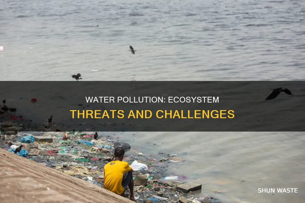 what are the threat water pollution to the ecosystem