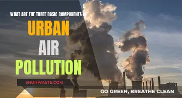Air Pollution's Urban Trinity: Understanding Key Components
