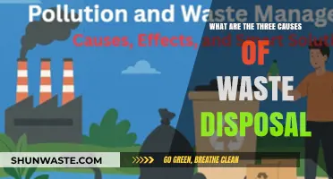 Exploring the Root Causes of Improper Waste Disposal