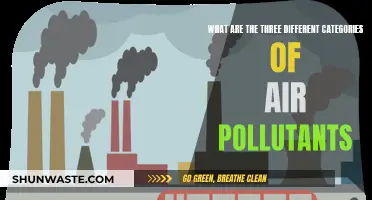 Air Pollutants: Understanding the Three Main Categories