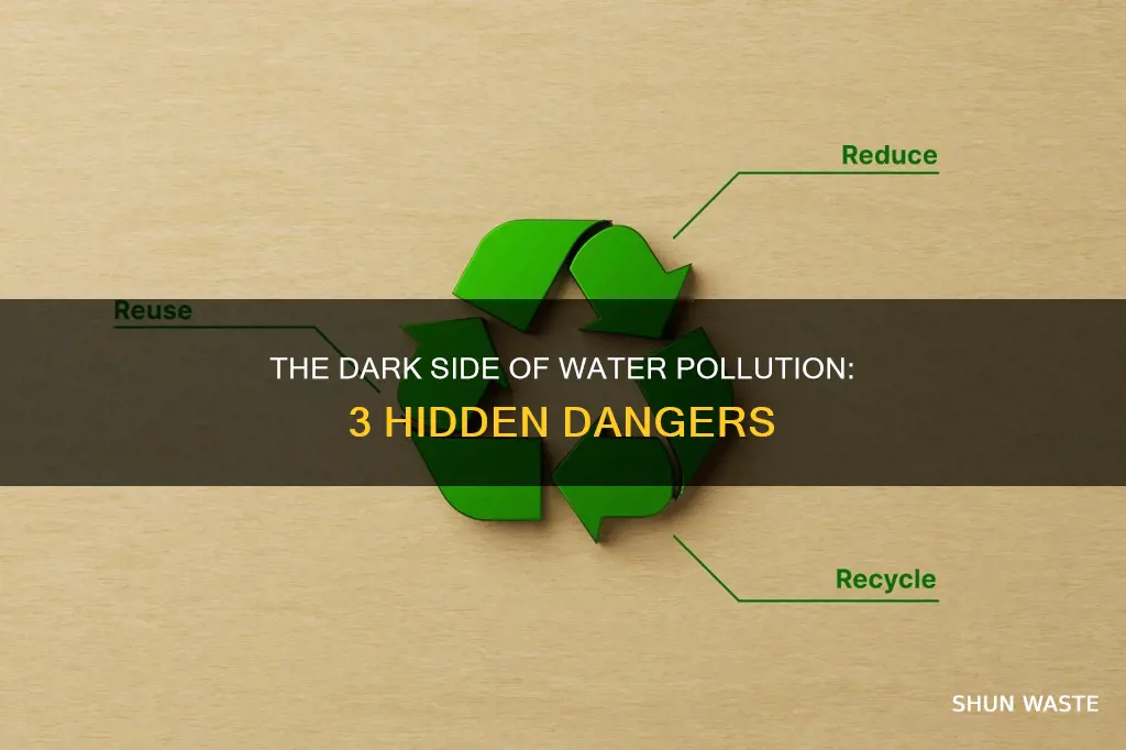 what are the three disadvantages of water pollution