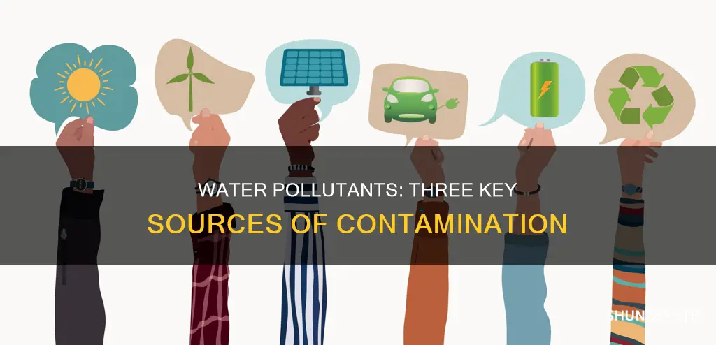 what are the three examples of water pollutants
