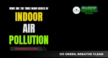 Air Quality Alert: Indoor Pollution's Main Culprits