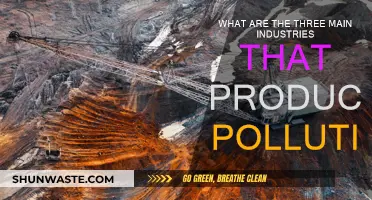 Major Polluters: Three Industries, One Problem