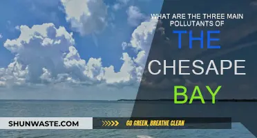 Chesapeake Bay: Three Main Pollutants and Their Sources