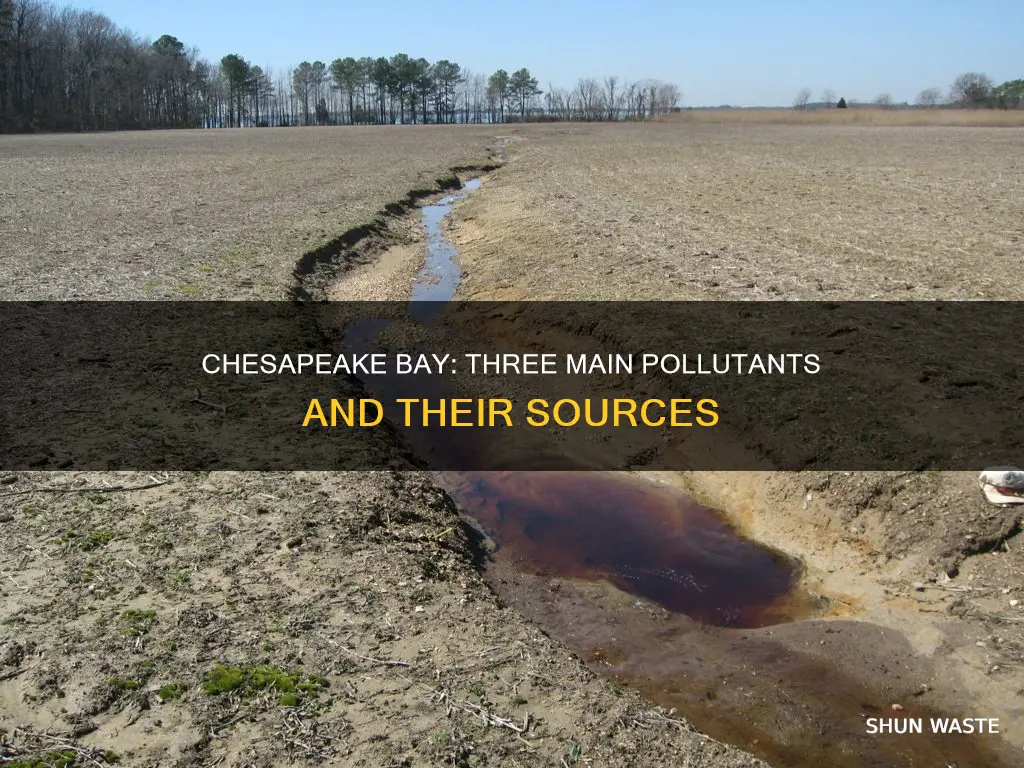 what are the three main pollutants of the chesapeake bay