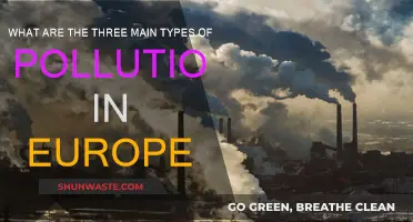 European Pollution: Air, Water, and Land Suffering