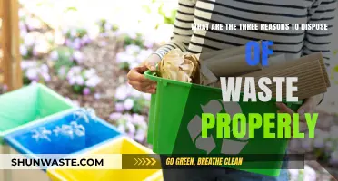 Eco-Friendly Disposal: Why Proper Waste Management Matters