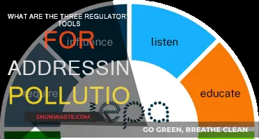 Command-and-Control, Market Incentives, and Flexible Regulations