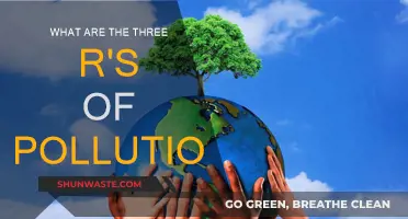 Pollution's Three R's: Reduce, Reuse, and Recycle