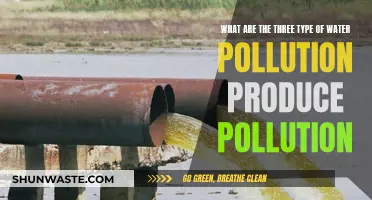 Unveiling the Hidden Dangers: Three Types of Water Pollution