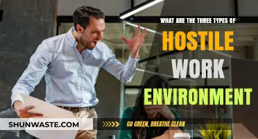Understanding Hostile Workplaces: Three Key Types and Their Impact