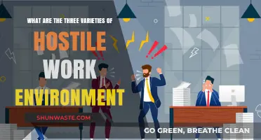 Understanding Hostile Work Environments: Types, Impact, and Prevention Strategies