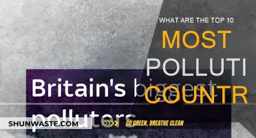Who Pollutes the Most? The Top 10 Offenders