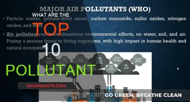 Deadly Pollutants: Top Ten Killers in Our Environment
