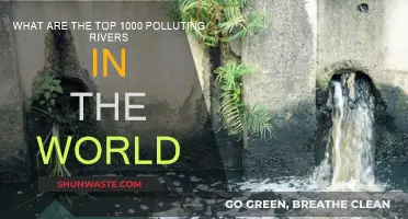 Rivers in Crisis: The World's Top Polluting Waterways