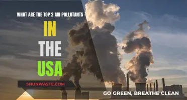 Air Pollutants: USA's Most Dangerous Duo
