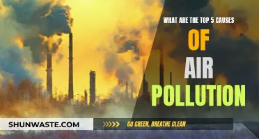 Air Pollution: Top Five Causes Revealed