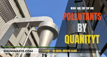 Air Pollutants: Most Common Toxins by Quantity