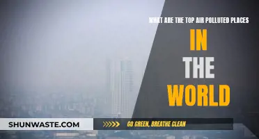 Air Pollution's Worst Offenders