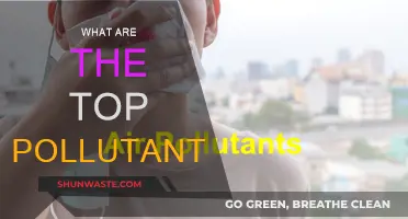 Major Pollutants: Understanding Our World's Biggest Contaminants