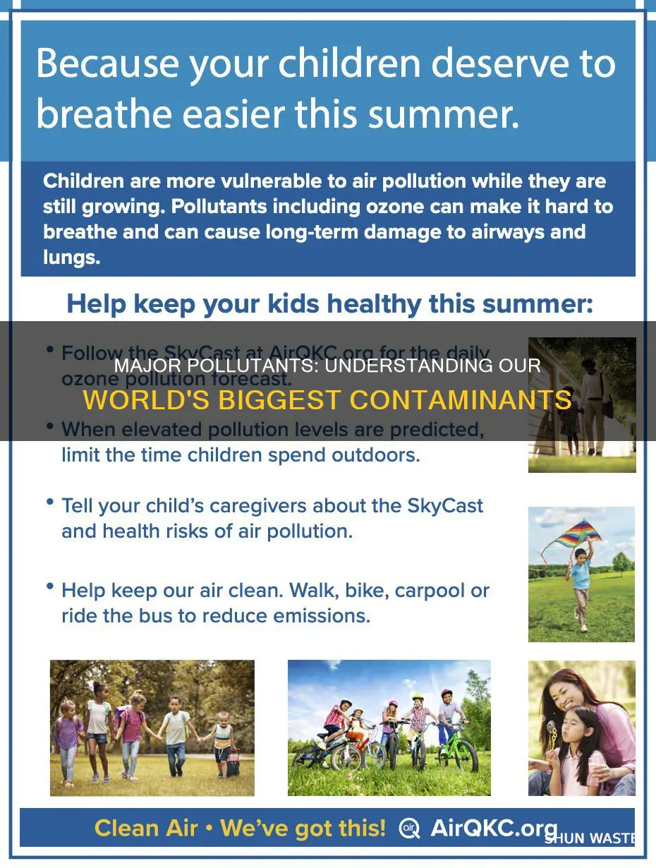 what are the top pollutants