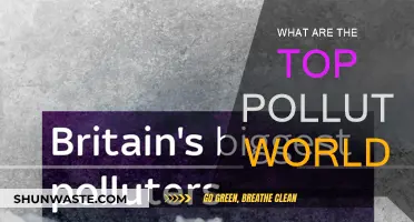 Who Pollutes the Most? Global Emissions Insights