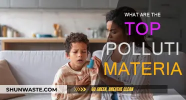 Major Pollutants: Understanding Key Sources of Environmental Damage