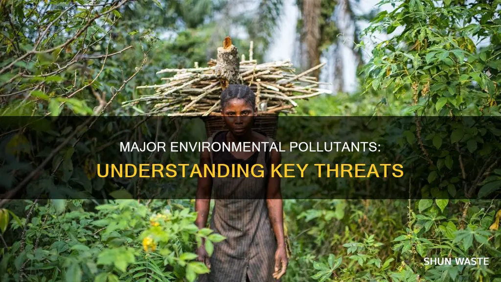what are the top pollution to environment