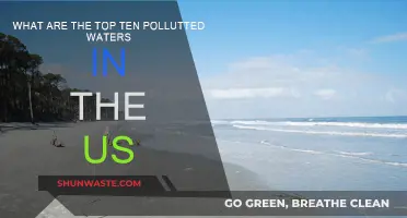 Polluted Waters: The US's Top Contaminated Sites