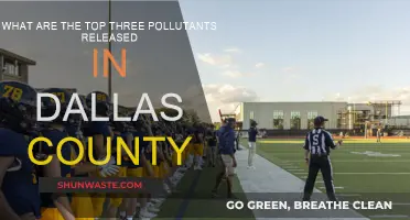 Dallas County's Top Pollutant Emissions Exposed