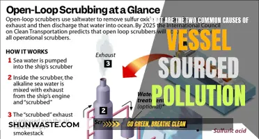 Unveiling the Hidden Sources: Two Common Causes of Vessel Pollution