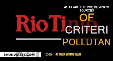 Sources of Criteria Pollutants: Two Major Culprits