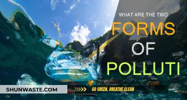 Forms of Pollution: Understanding the Duality of Environmental Damage