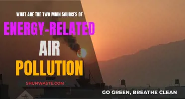 Energy Sources and Air Pollution: A Complex Relationship