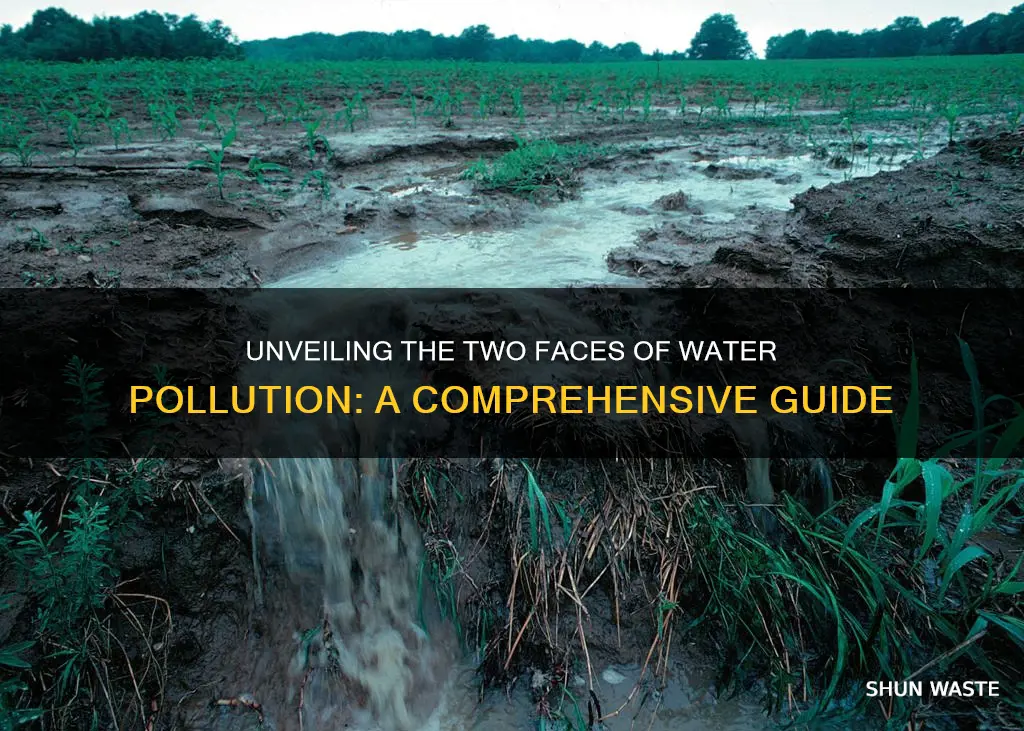 what are the two main typs of water pollution