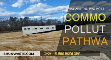 Air and Water: Major Pathways of Pollutants