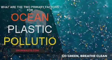Ocean Plastic Pollution: Human Actions and Industry Impact
