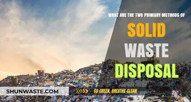 Exploring the Two Main Approaches to Solid Waste Management