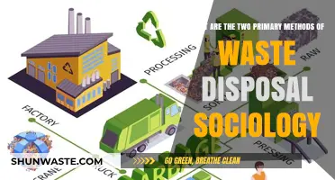 Exploring Sociology's Waste Disposal Methods: A Comparative Analysis