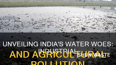 what are the two sources of water pollution in india