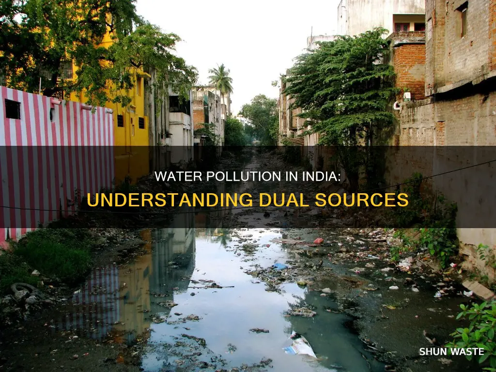 what are the two sources of water pollution in india